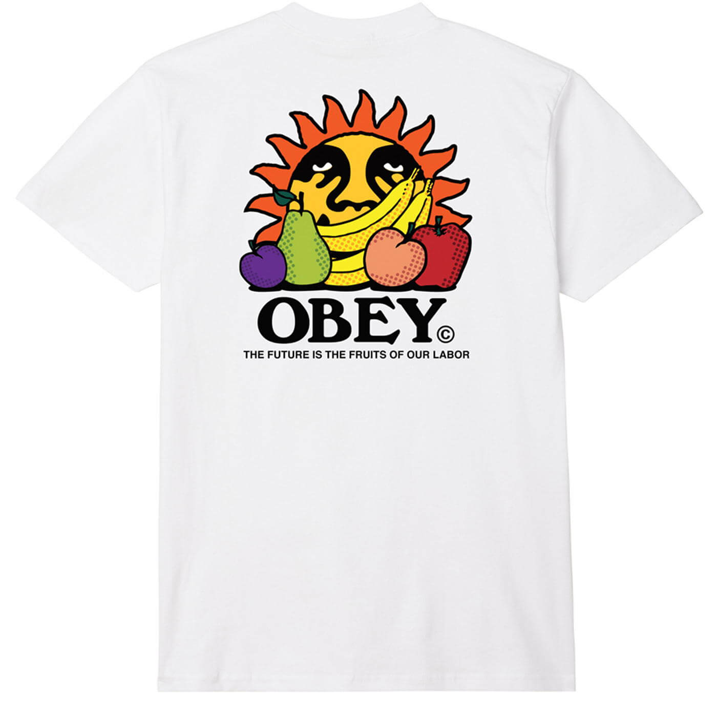 Obey The Future Is.... T-Shirt - White