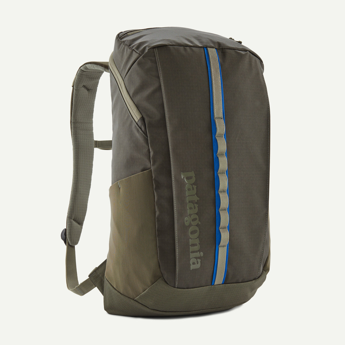 Patagonia Black Hole Pack 25L - Basin Green