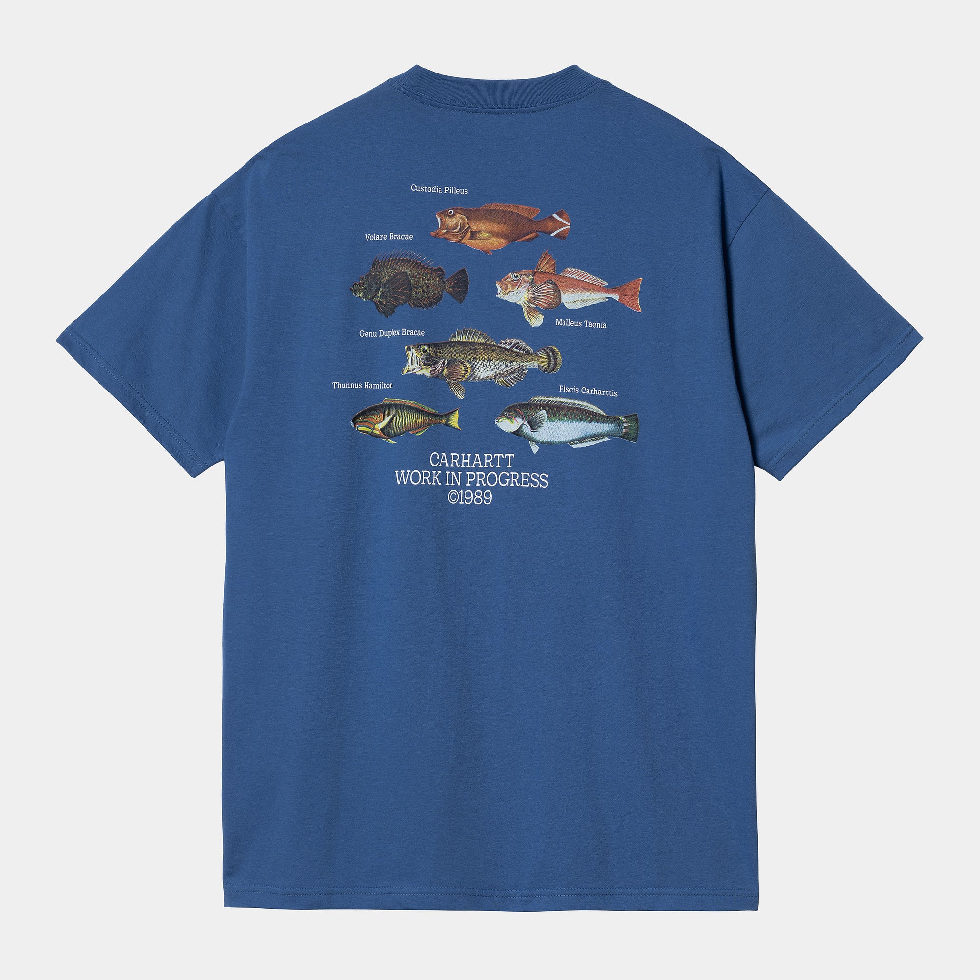 Carhartt WIP Fish T-Shirt - Acapulco