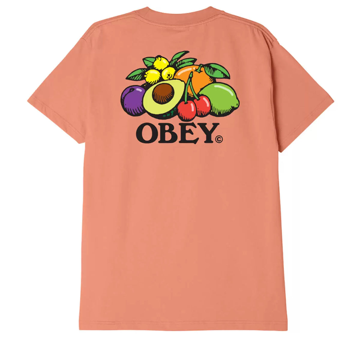 Obey Bowl Of Fruit T-Shirt - Citrus