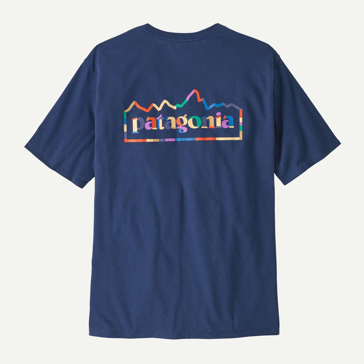 Patagonia Unity Fitz T-Shirt - Clement Blue
