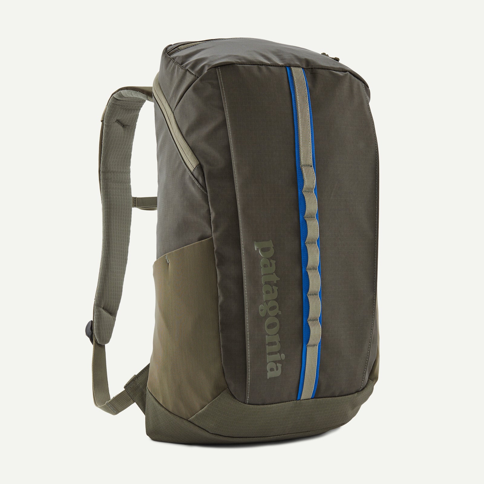 Patagonia Black Hole Pack 25L - Basin Green
