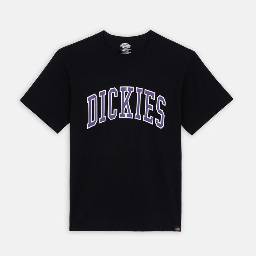 Dickies Aitkin T-Shirt - Black / Imperial
