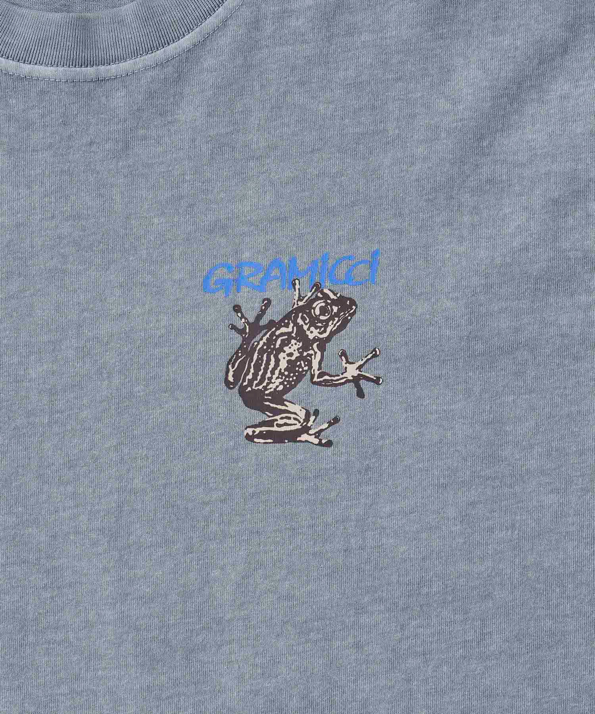 Gramicci Sticky Frog T-Shirt - Slate Pigment