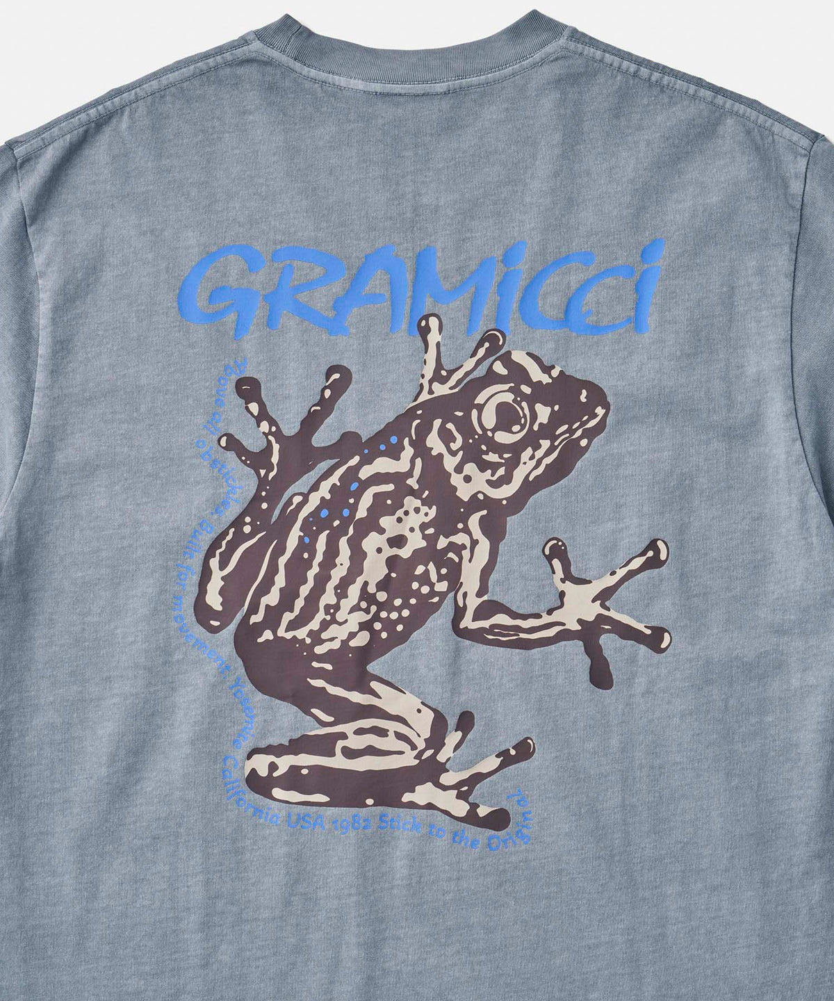 Gramicci Sticky Frog T-Shirt - Slate Pigment