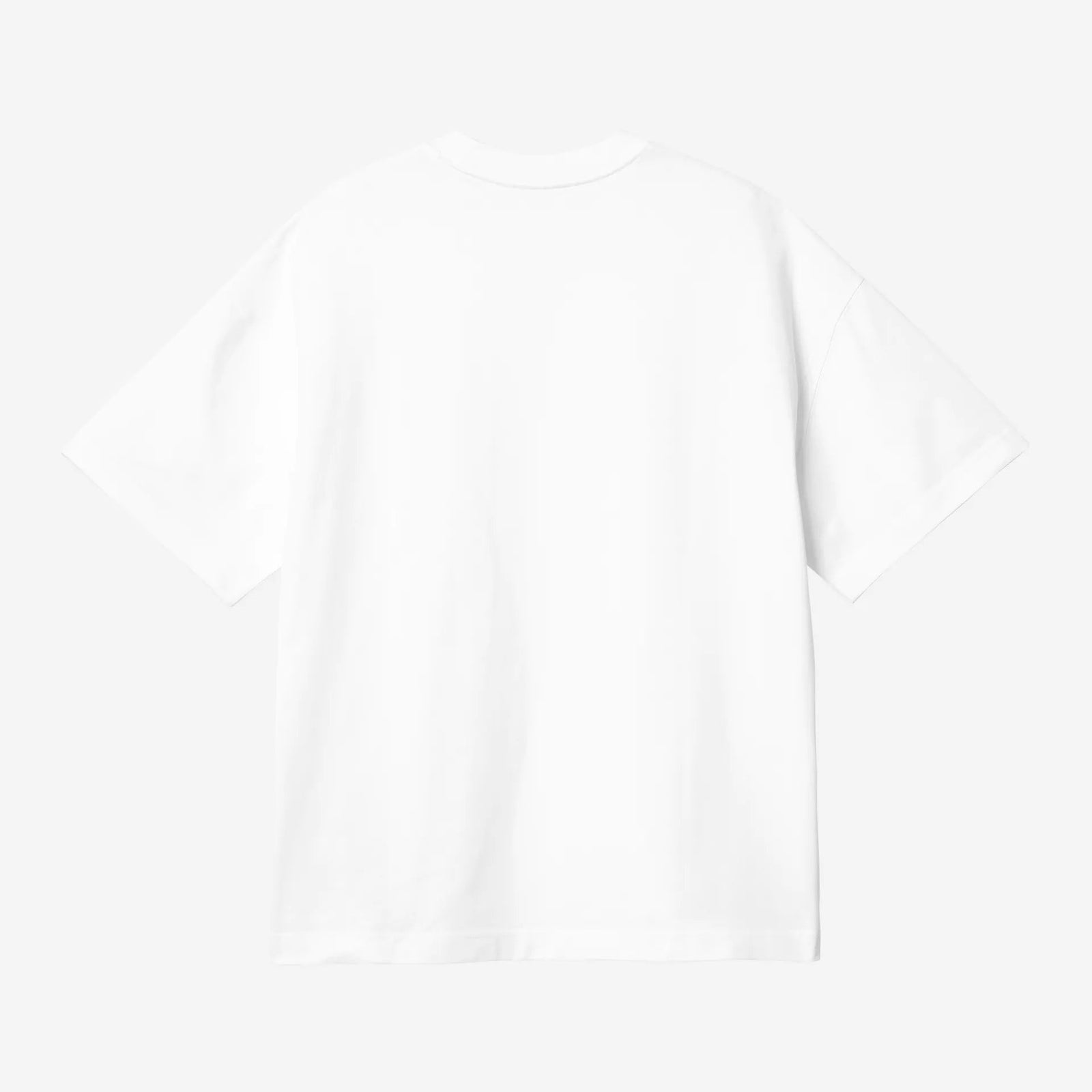 Carhartt WIP Link Script T-Shirt - White / Black