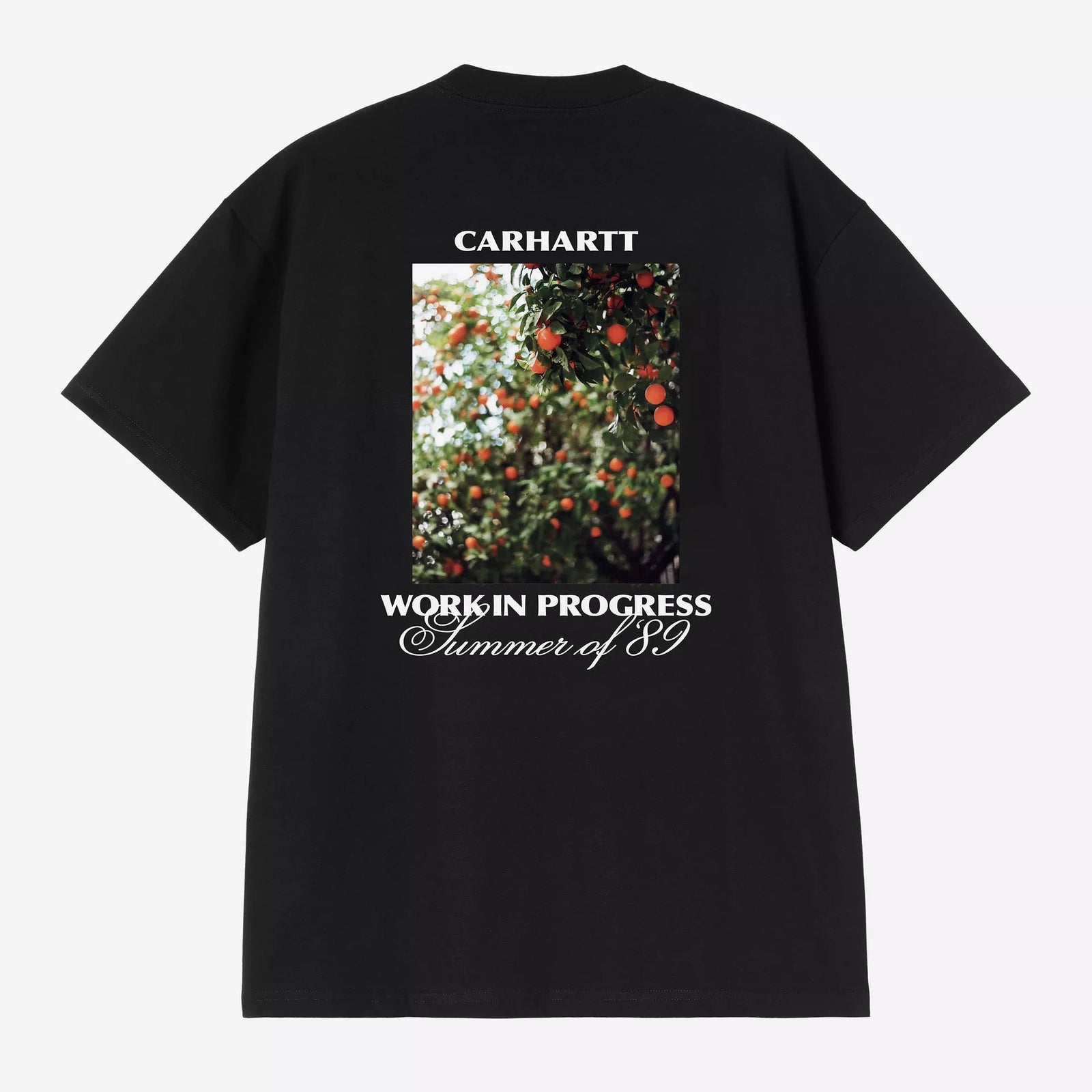 Carhartt WIP Warm Views T-Shirt - Black