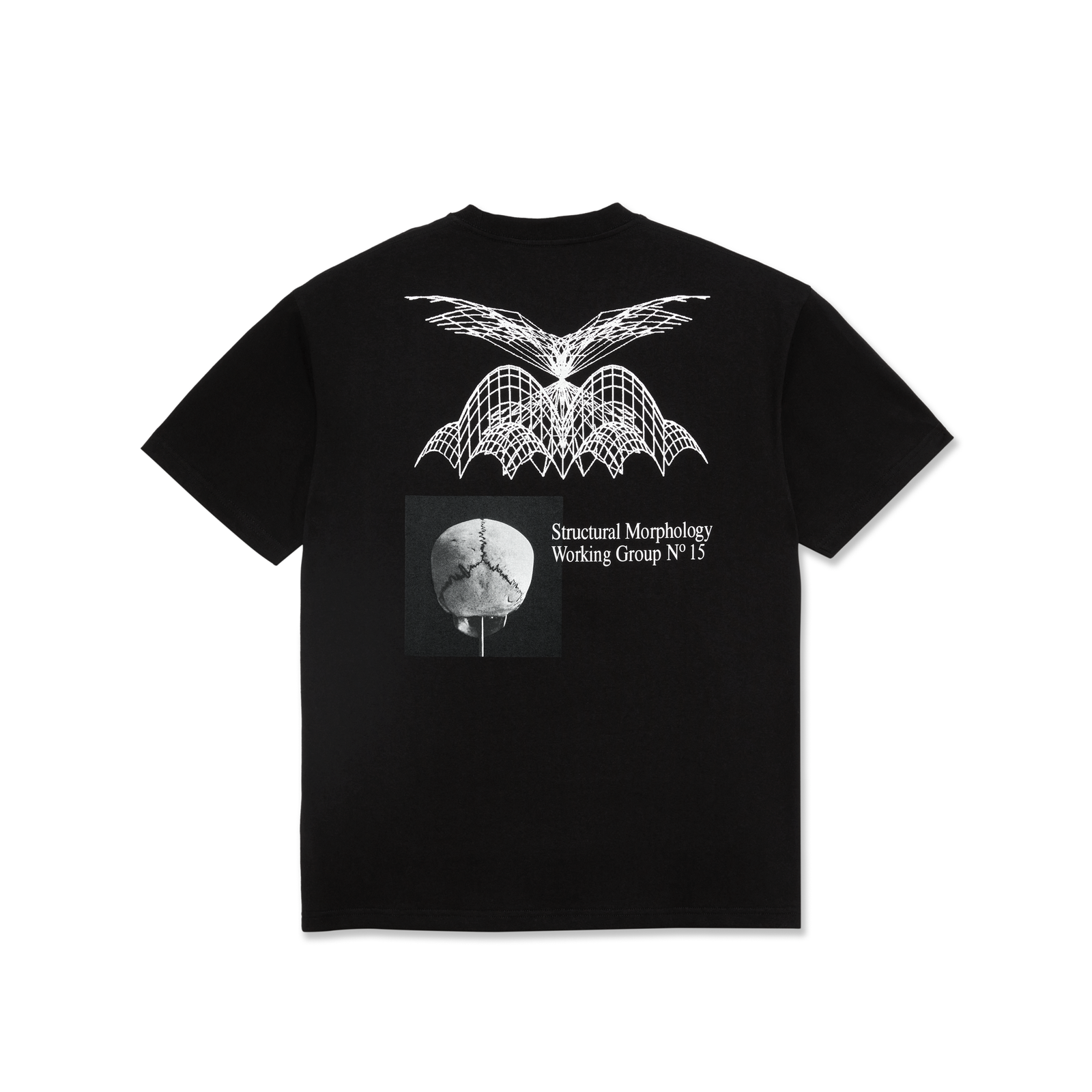 Polar Morphology T-Shirt - Black
