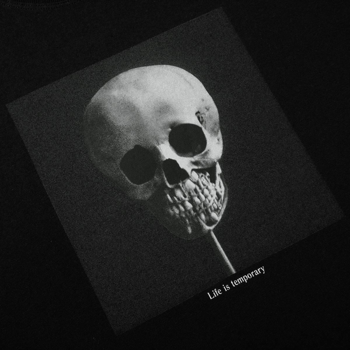 Polar Morphology T-Shirt - Black