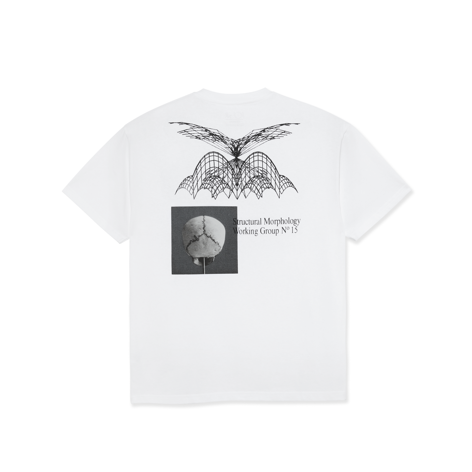 Polar Morphology T-Shirt - White