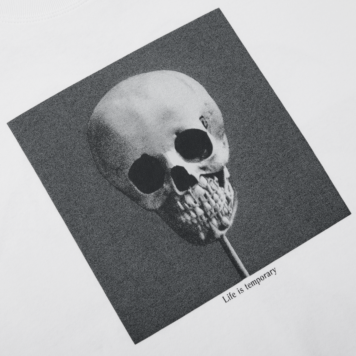 Polar Morphology T-Shirt - White