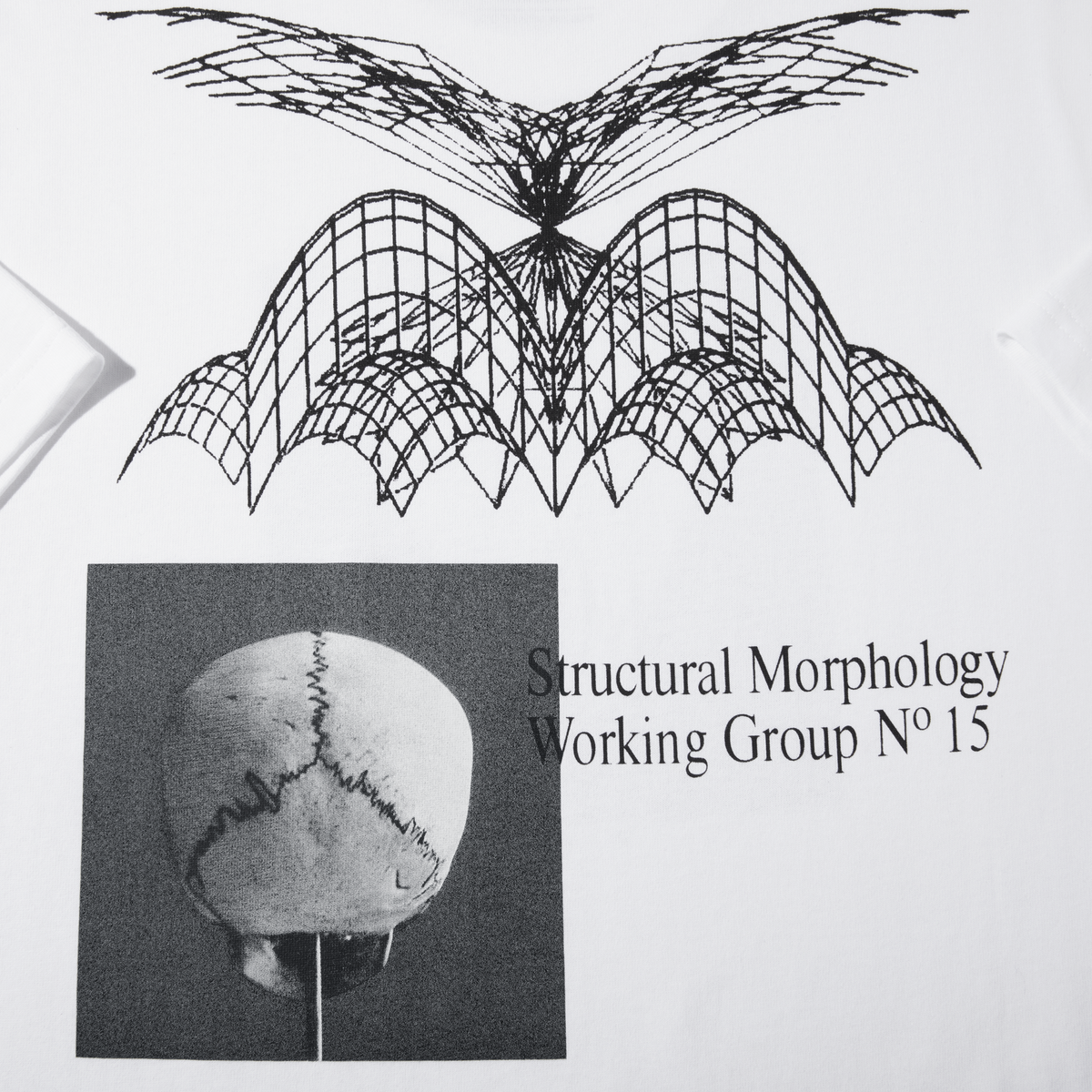 Polar Morphology T-Shirt - White