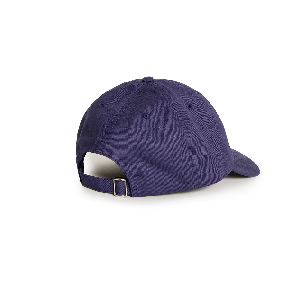 Polar Sai Cap - Navy College Logo
