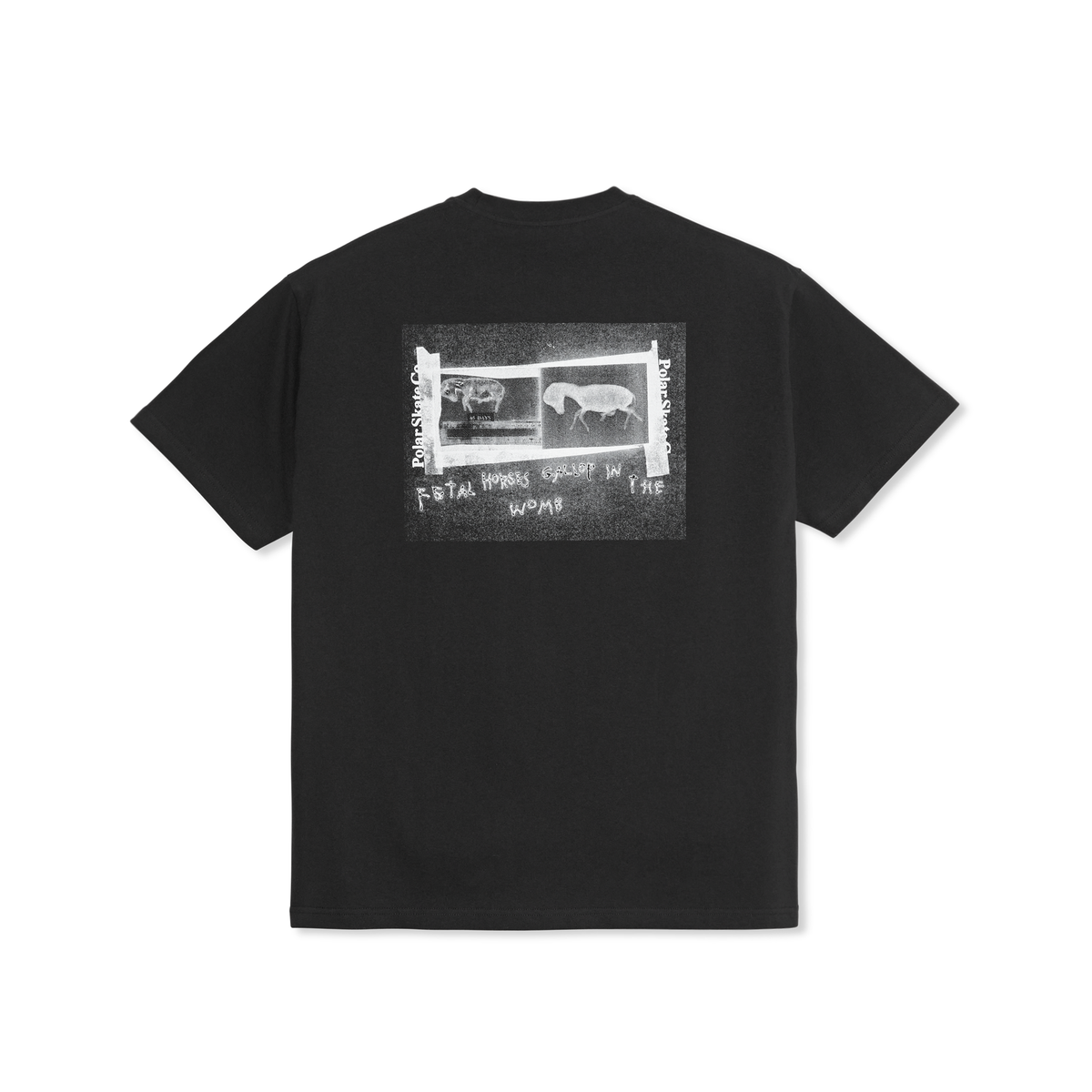 Polar Beautiful Horses T-Shirt - Black