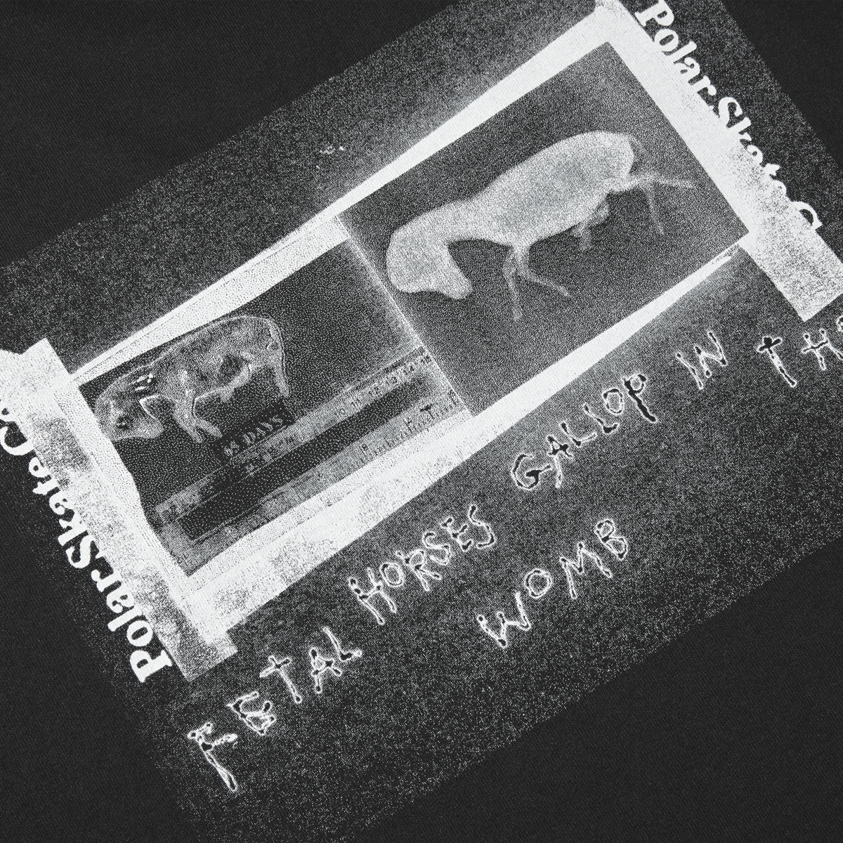 Polar Beautiful Horses T-Shirt - Black