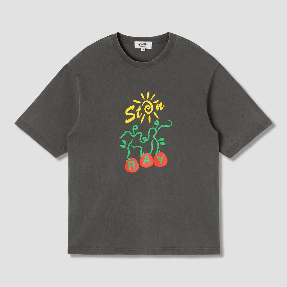 Stan Ray Vine T-Shirt - Washed Black