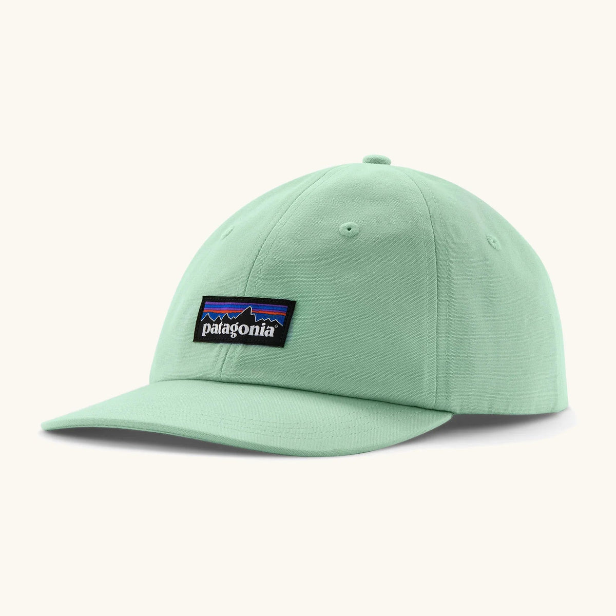 Patagonia P-6 Label Trad Cap - Rinsed Green