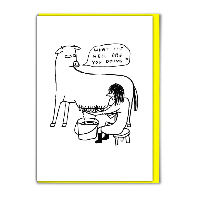David Shrigley Cards - What The Hell