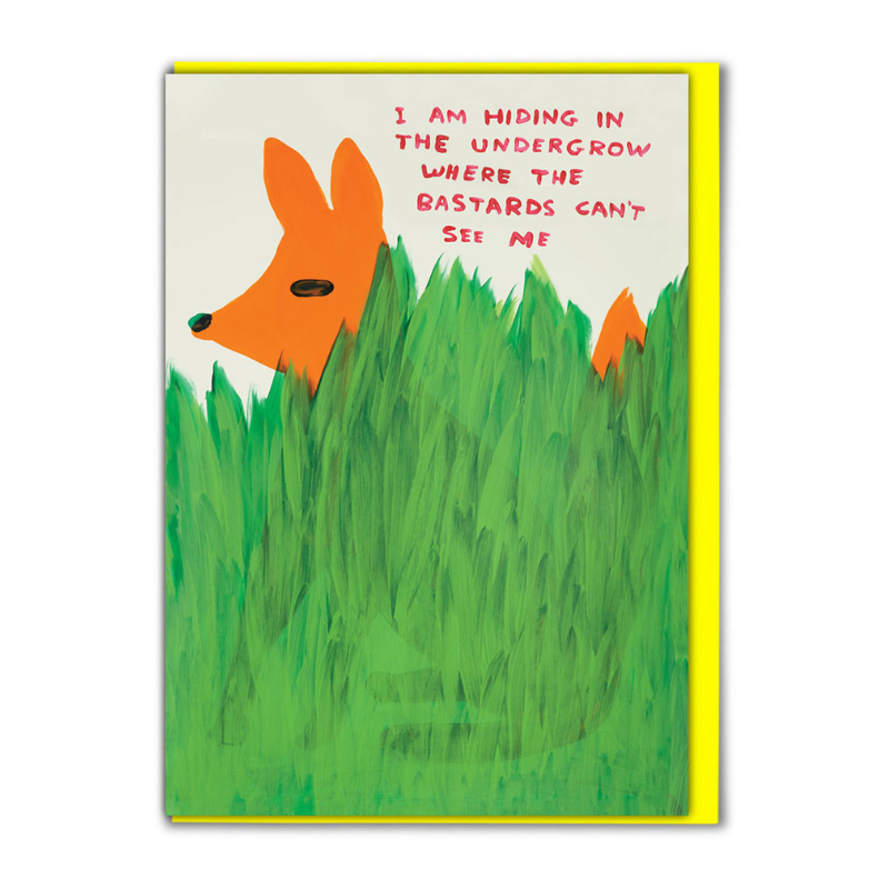 David Shrigley Cards - Bastards Can't See