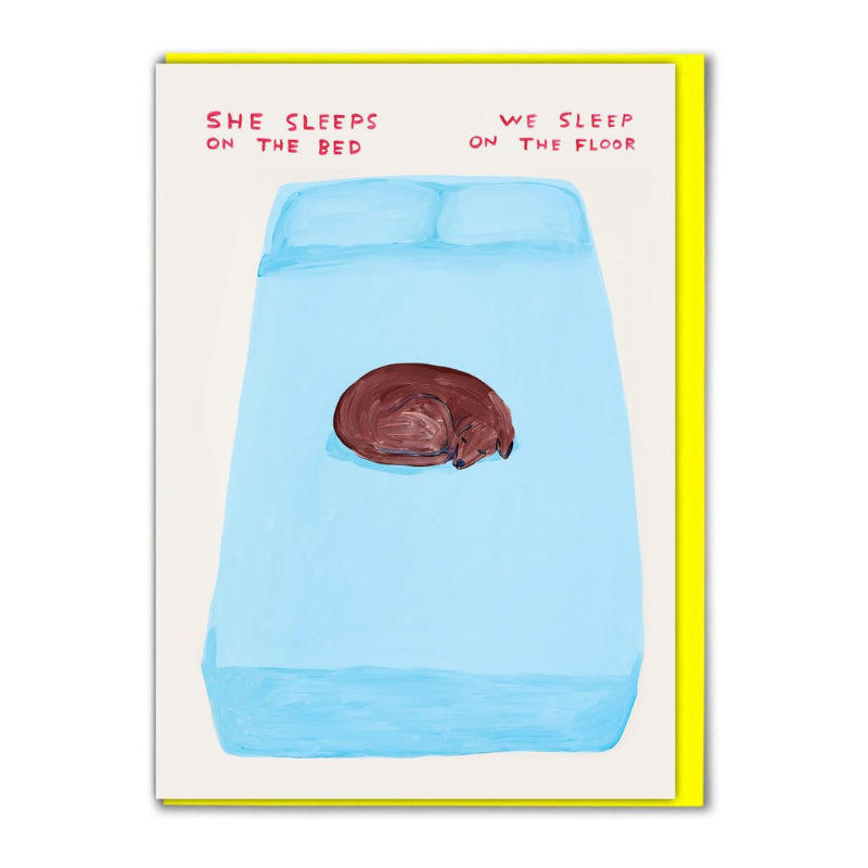 David Shrigley Cards - Sleeps On Bed