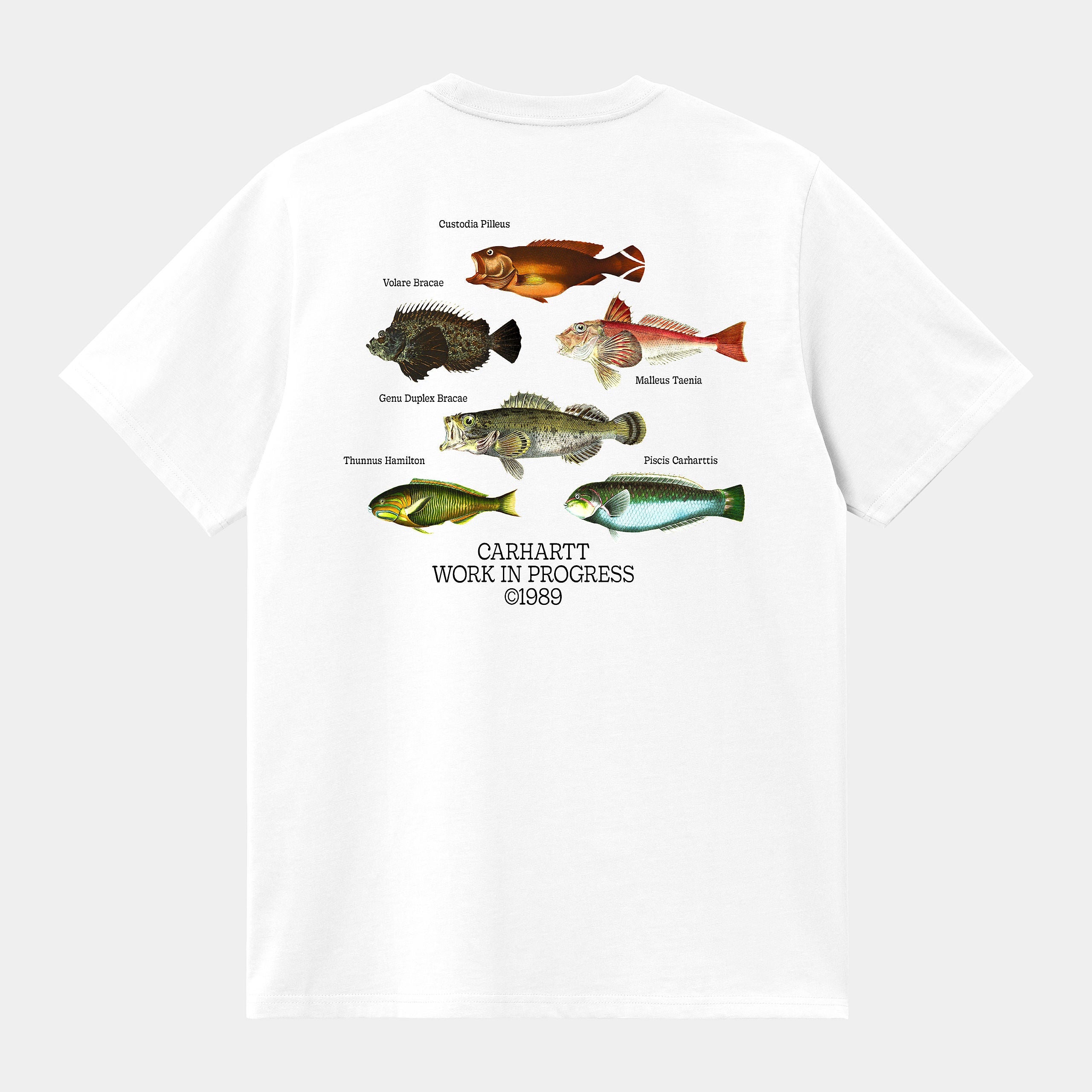 Buy the Carhartt WIP Fish T-Shirt - White | Jingo Clothing