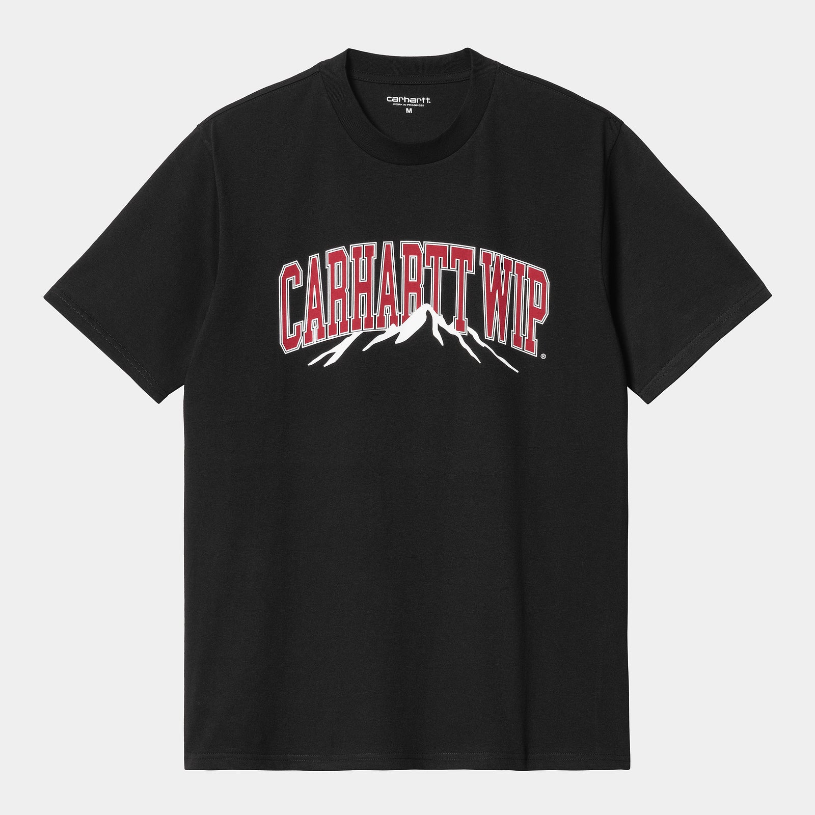 Carhartt WIP Mountain College T-Shirt - Black