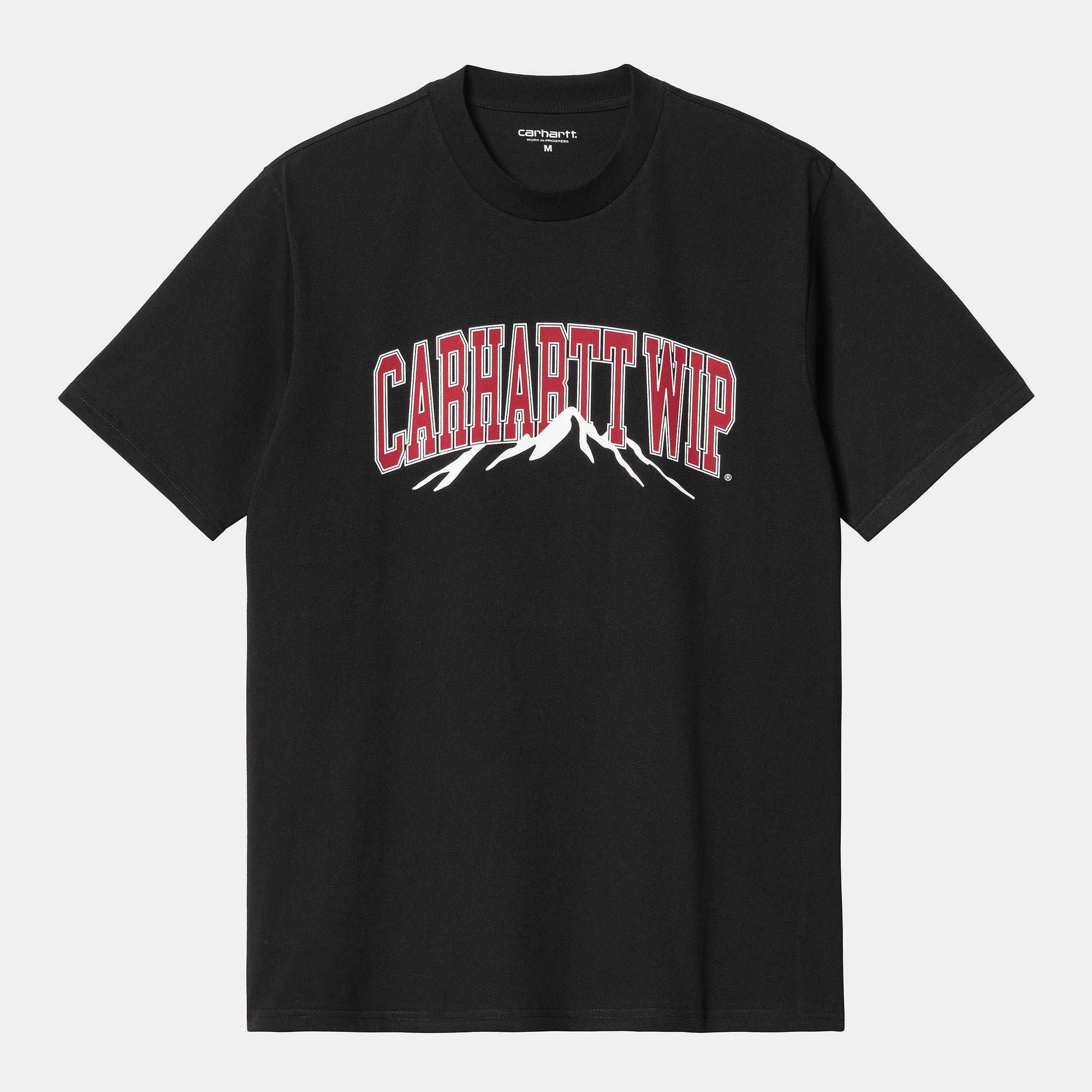 Carhartt WIP Mountain College T-Shirt - Black