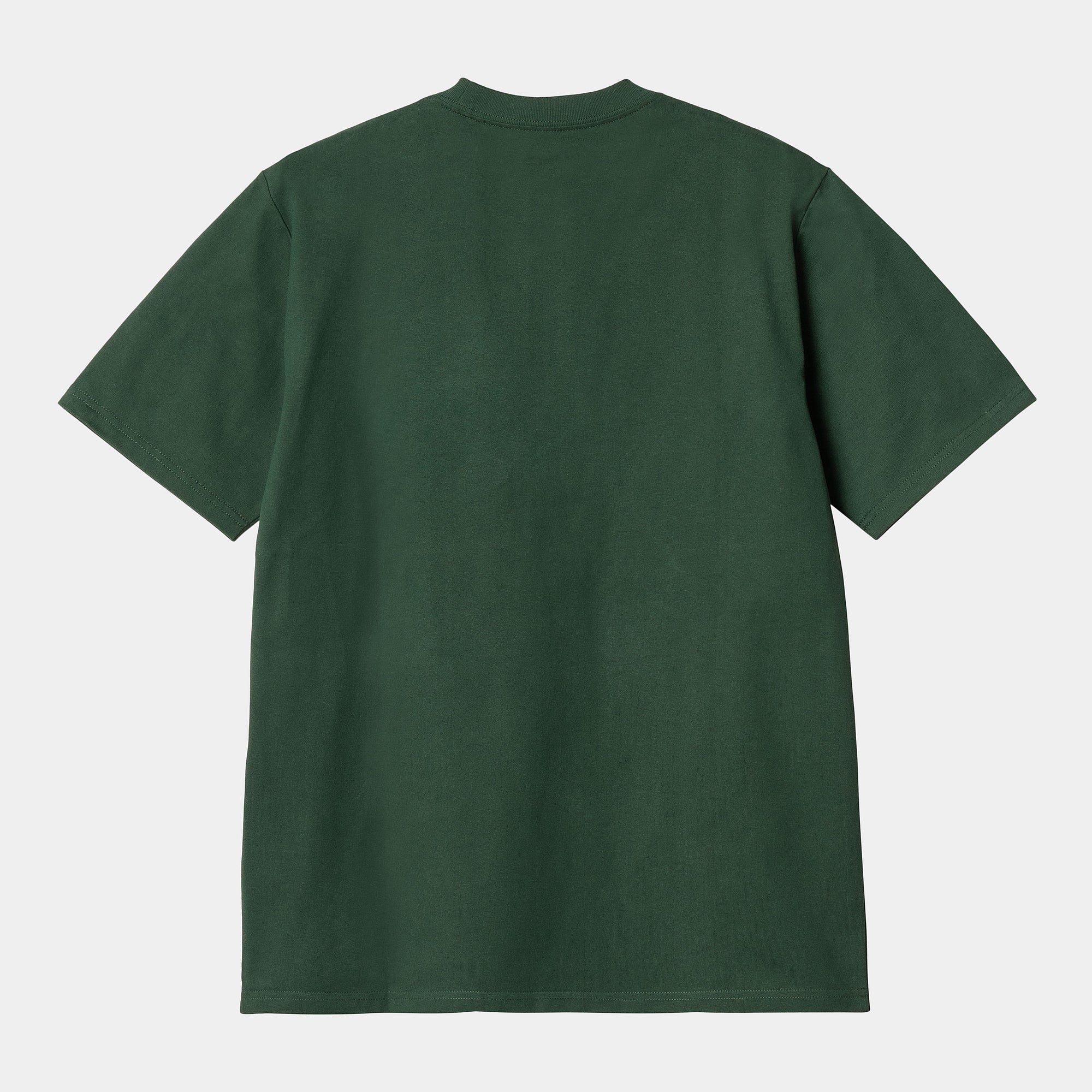 Carhartt WIP University Script T-Shirt - Sycamore Tree / White