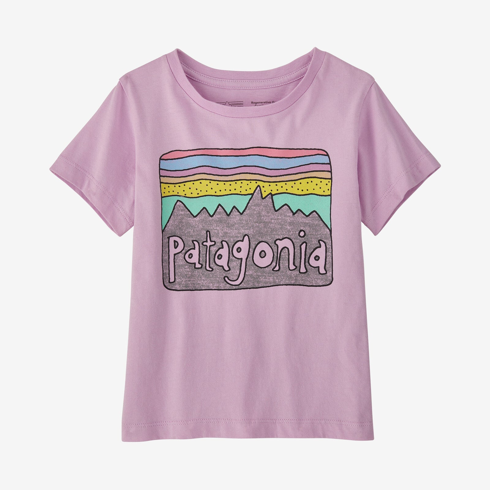 Patagonia B Fitz Roy Skies T-Shirt - Dragon Purple