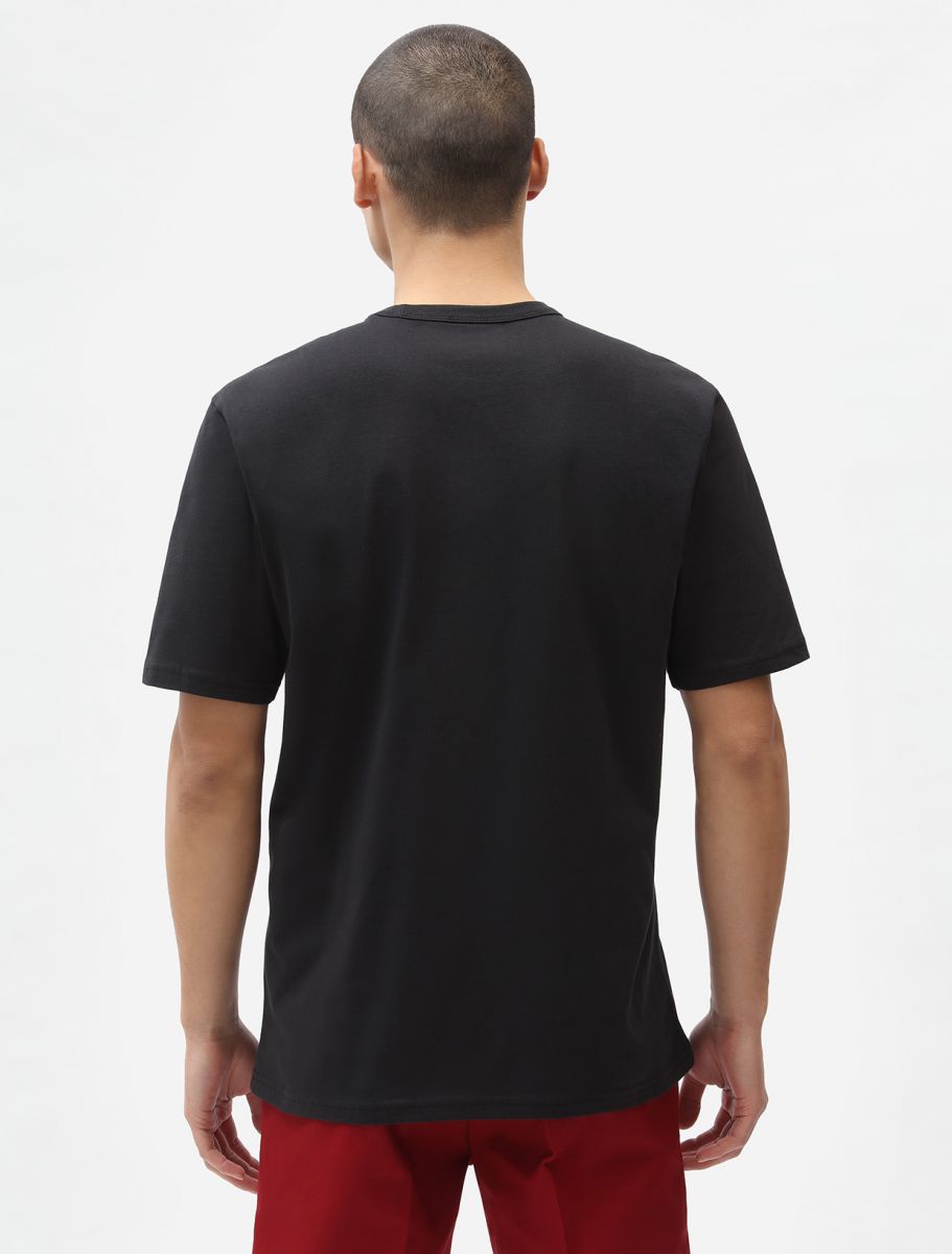 Dickies Aitkin T-Shirt - Black