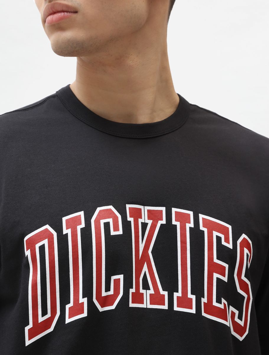 Dickies Aitkin T-Shirt - Black