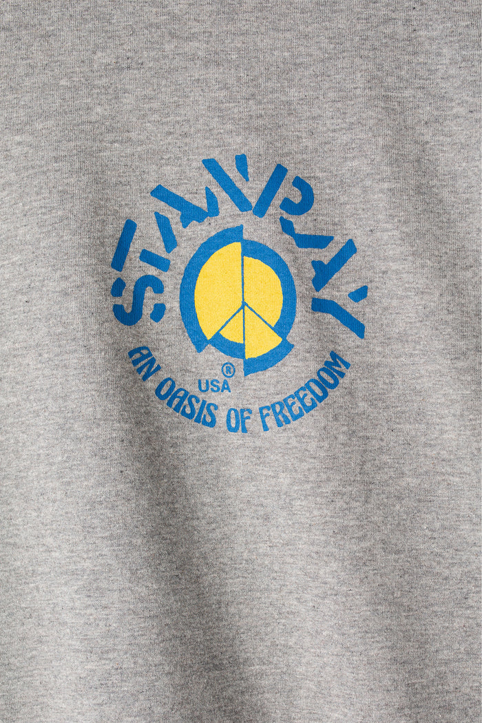 Stan Ray Oasis of Freedom T-Shirt - Grey Heather