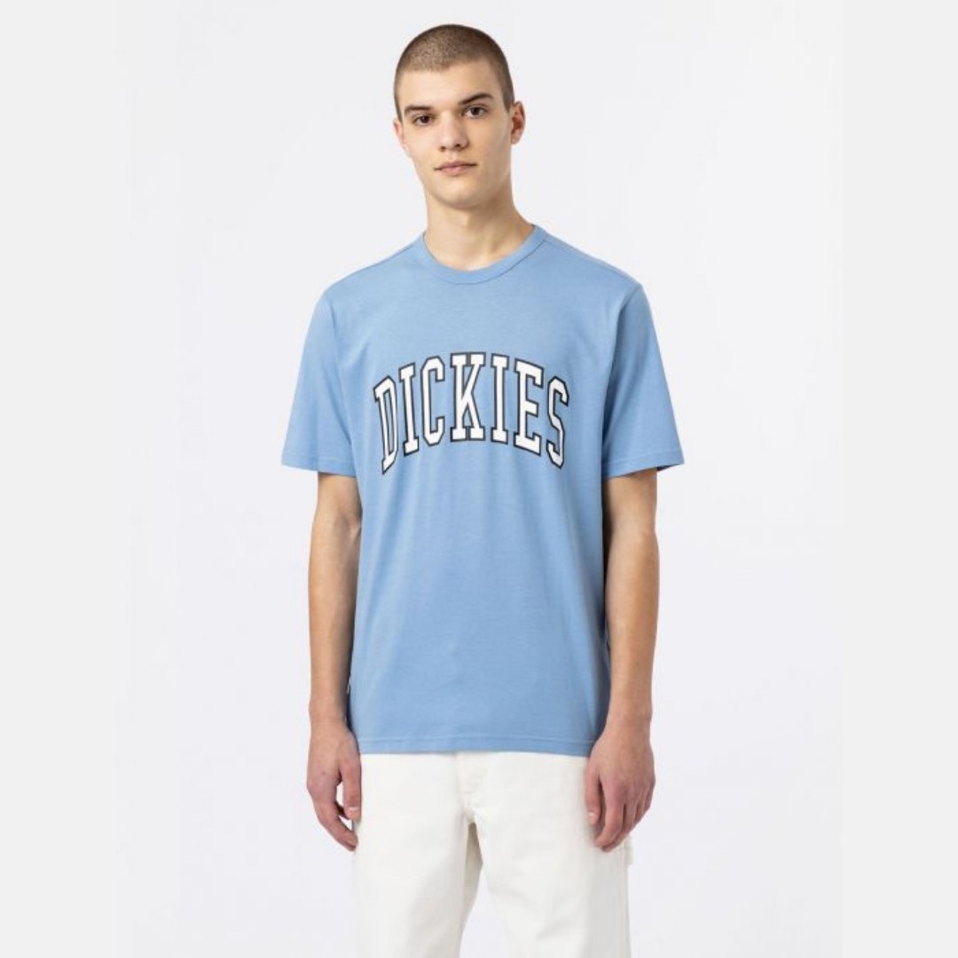 Dickies Aitkin T-Shirt - Allure