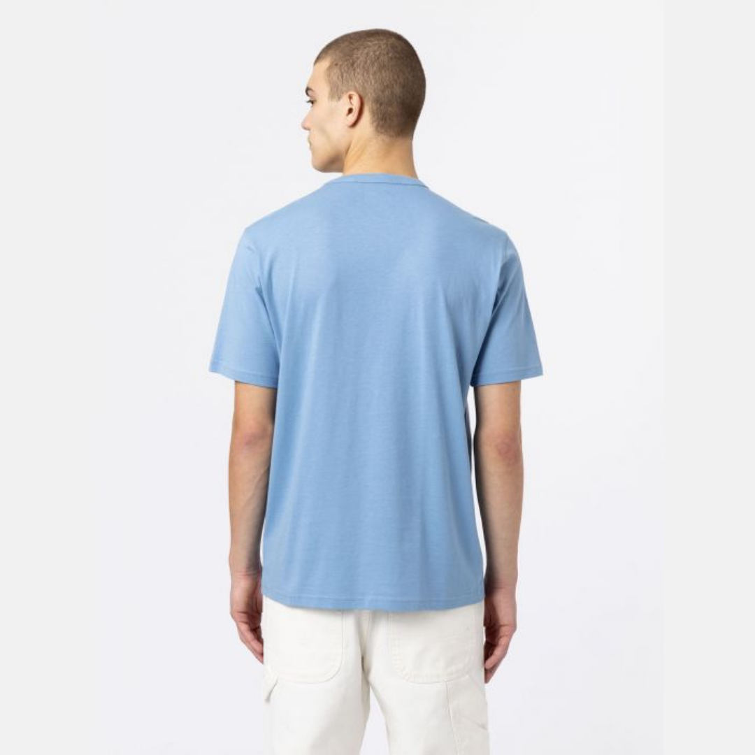 Dickies Aitkin T-Shirt - Allure