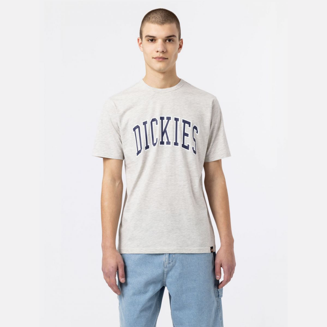 Dickies Aitkin T-Shirt - Grey