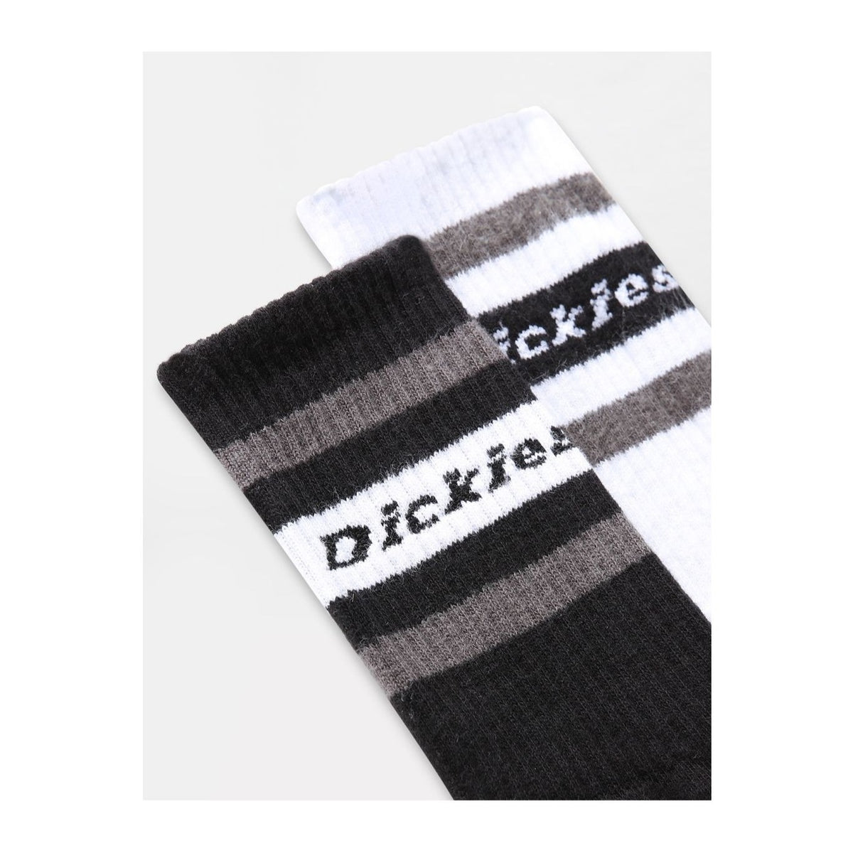 Dickies Genola Socks - Black / White