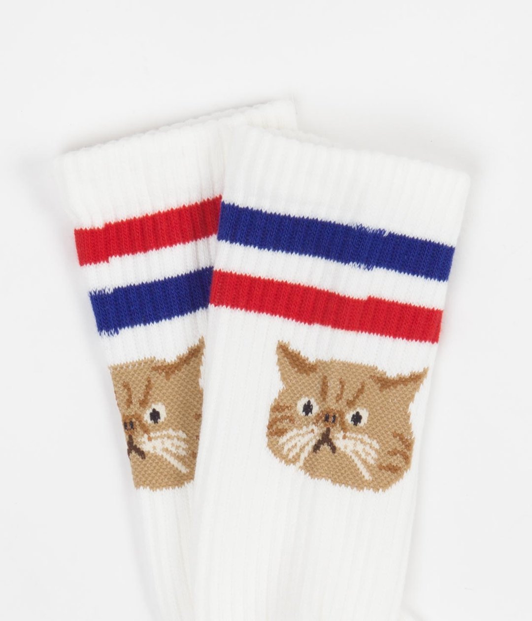 Rostersox Cat Sock - Blue
