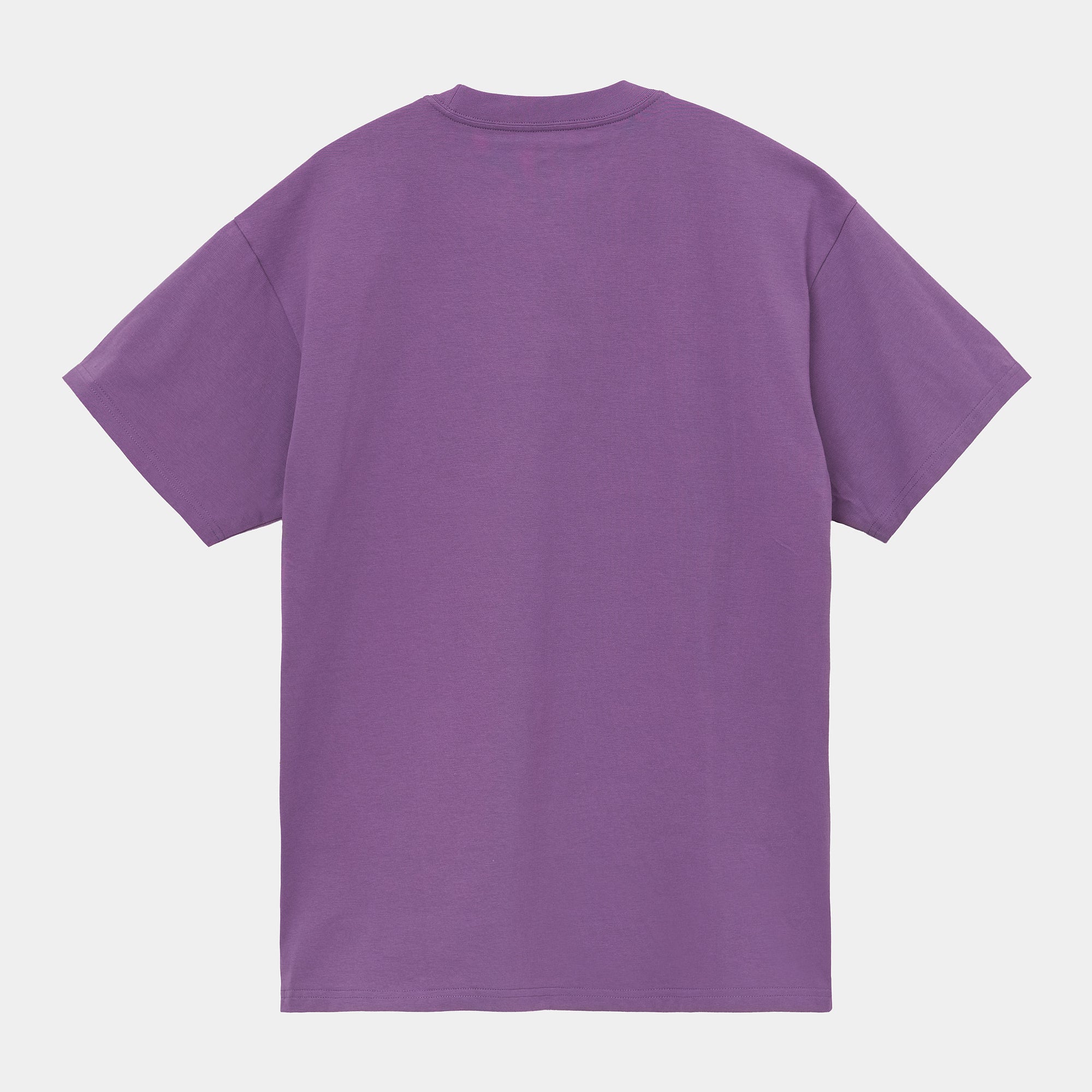 Carhartt WIP Script Embroidery T-Shirt - Aster/White