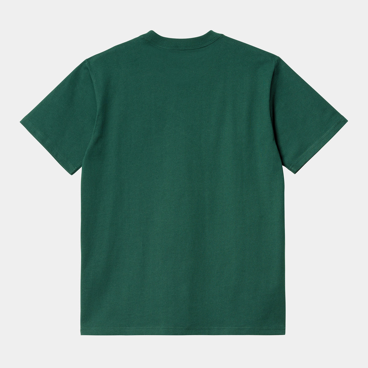 Carhartt WIP University Script T-Shirt - Hedge / White